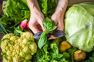 Диетолог Ивакин подтвердил пользу зелени и овощей для антистресс-диеты